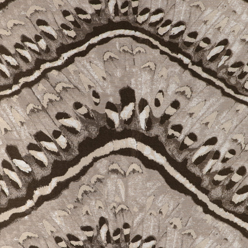 KRAVET COUTURE - MOTH WEAVE- NATURAL - Fabric by the Yard NATURAL