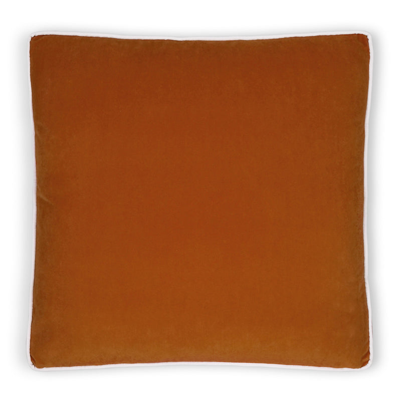 Posh Box Pillow - Sedona - DV Kap