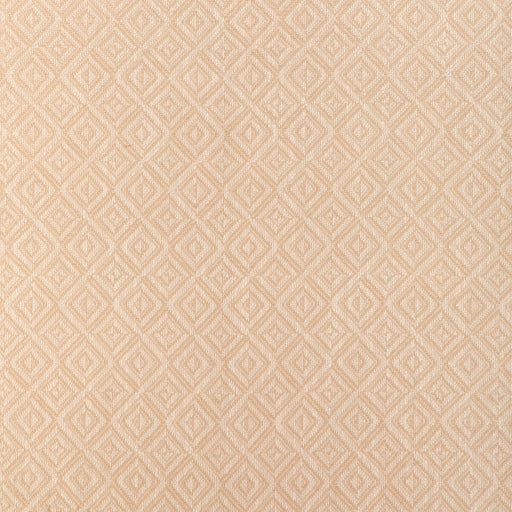 KRAVET SMART - KRAVET SMART- 37371-1601 - Fabric by the Yard 37371-1601