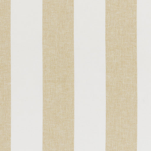 KRAVET BASICS - KRAVET BASICS- 37389-41 - Fabric by the Yard 37389-41