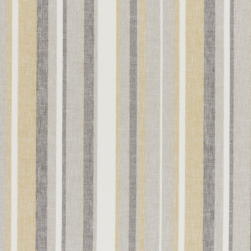 KRAVET BASICS - KRAVET BASICS- 37391-411 - Fabric by the Yard 37391-411
