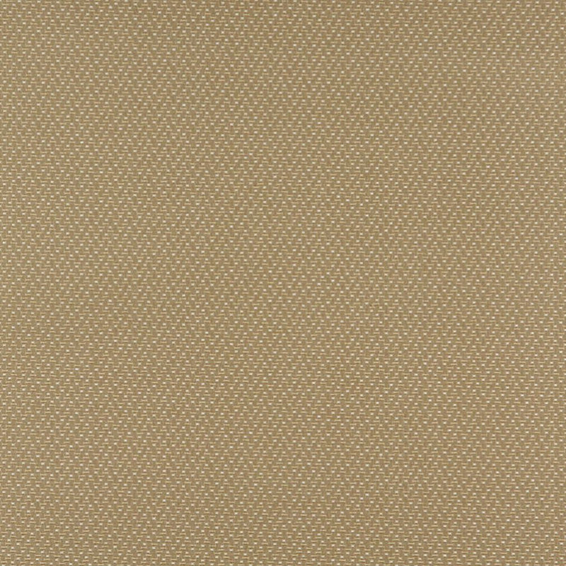 Charlotte - 3743 - Ecru - Fabric by the Yard Ecru