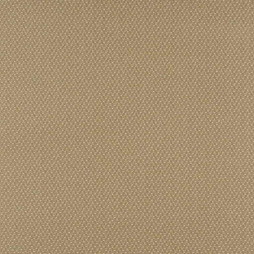 Charlotte - 3743 - Ecru - Fabric by the Yard Ecru