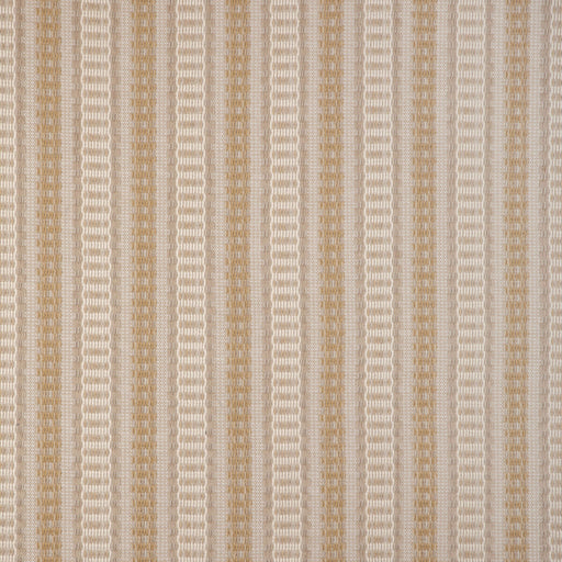 KRAVET DESIGN - KRAVET DESIGN- 37443-416 - Fabric by the Yard 37443-416