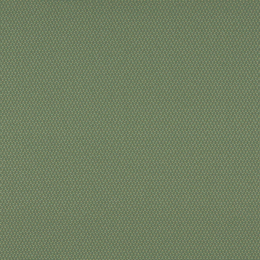 Charlotte - 3745 - Meadow - Fabric by the Yard Meadow