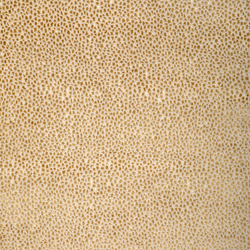 KRAVET DESIGN - KRAVET DESIGN- 37480-4 - Fabric by the Yard 37480-4