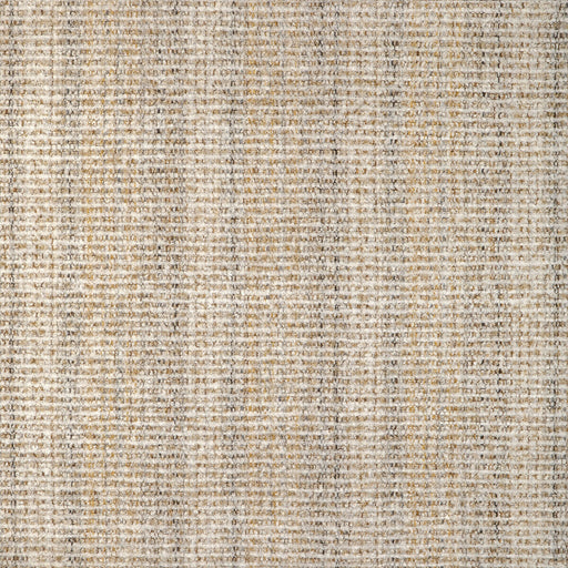 KRAVET DESIGN - KRAVET DESIGN- 37496-1611 - Fabric by the Yard 37496-1611