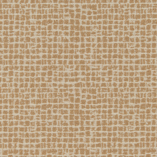 KRAVET CONTRACT - JUMP STONE- HONEY - Fabric by the Yard HONEY