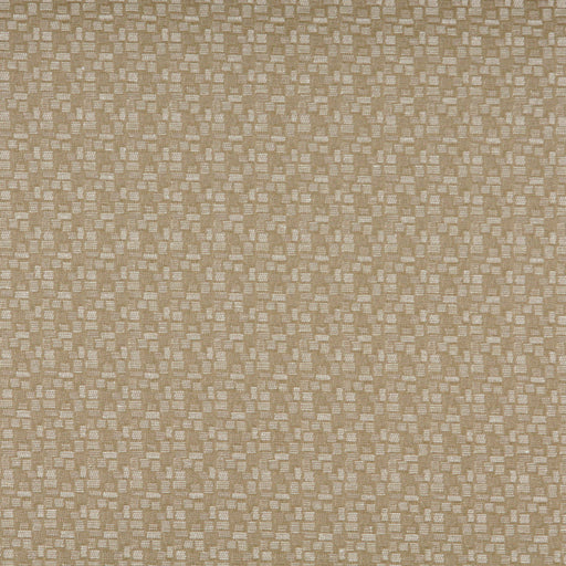 Charlotte - 3751 - Shell - Fabric by the Yard Shell