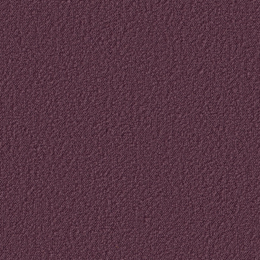 KRAVET CONTRACT - STOWE - FIG - Fabric By The YARD