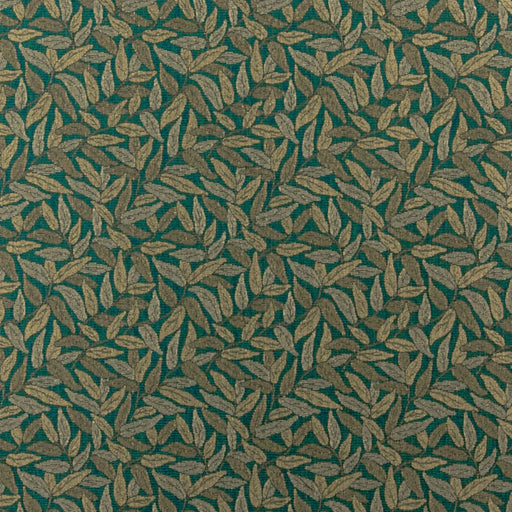 Charlotte - 3760 - Amazon - Fabric by the Yard Amazon
