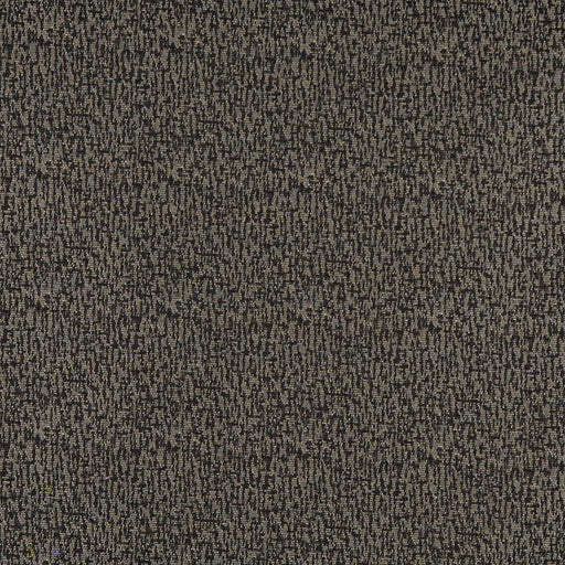 Charlotte - 3767 - Charcoal - Fabric by the Yard Charcoal