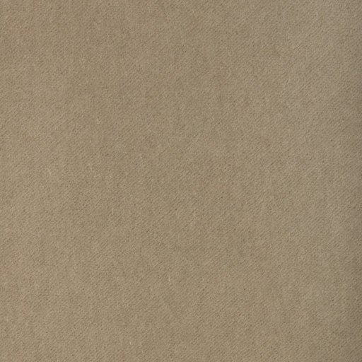 KRAVET CONTRACT - TEMPO - CANVAS - Fabric By The YARD