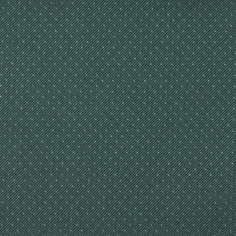 Charlotte - 3803 - Aspen - Fabric by the Yard Aspen