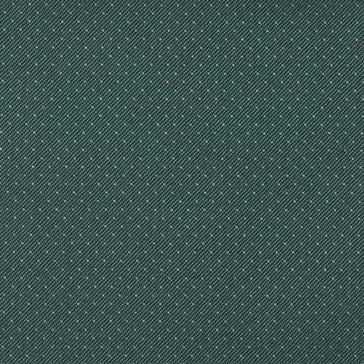 Charlotte - 3803 - Aspen - Fabric by the Yard Aspen
