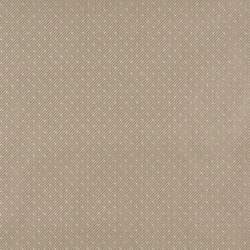 Charlotte - 3805 - Beach - Fabric by the Yard Beach