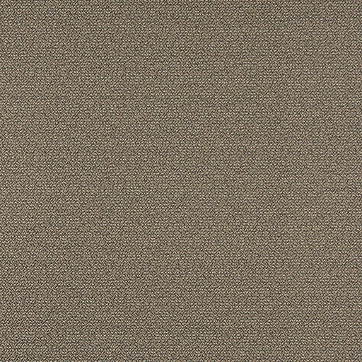 Charlotte - 3820 - Pebble - Fabric by the Yard Pebble