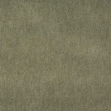 Gabby PLUSH MOSS - Fabric by the Yard - Samples Available Upon Request