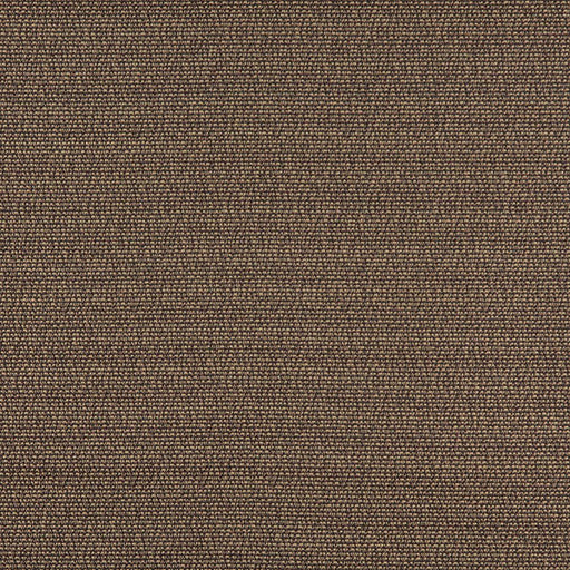 Charlotte - 3825 - Mocha - Fabric by the Yard Mocha
