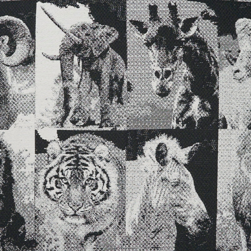 Zoology - DV Kap - Fabric by the Yard