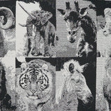 Zoology - DV Kap - Fabric by the Yard