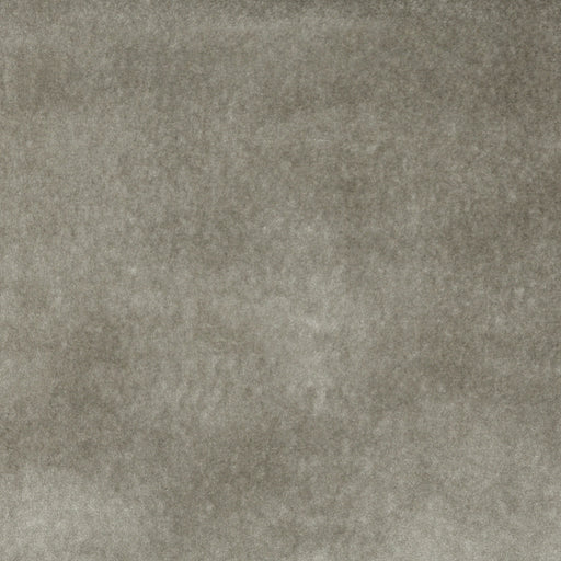 Charlotte - 3862 - Pewter - Fabric by the Yard Pewter