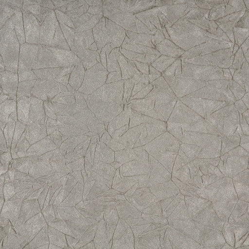 Charlotte - 3874 - Pewter Crushed - Fabric by the Yard Pewter Crushed