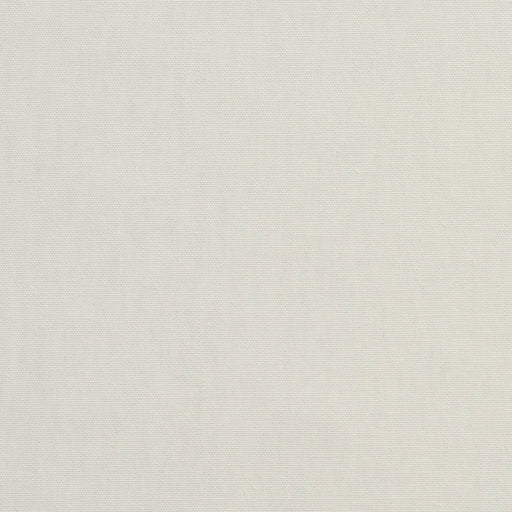 Charlotte - 3880 - Pearl - Fabric by the Yard Pearl