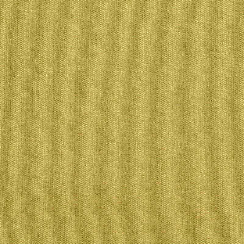 Charlotte - 3890 - Pear - Fabric by the Yard Pear