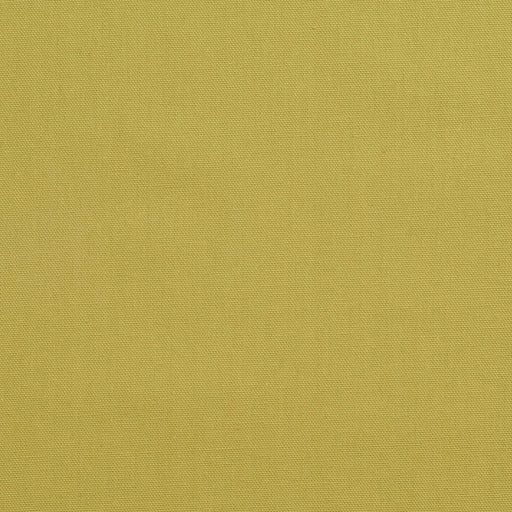 Charlotte - 3890 - Pear - Fabric by the Yard Pear