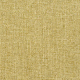 Charlotte - 3904 - Citrus - Fabric by the Yard