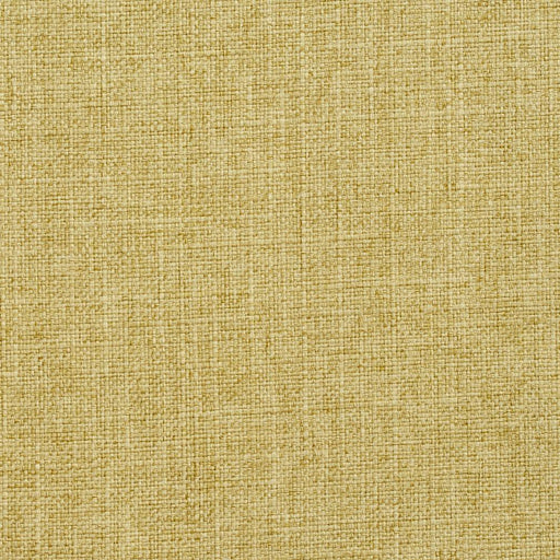 Charlotte - 3904 - Citrus - Fabric by the Yard Citrus