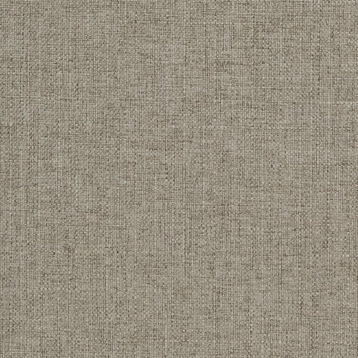 Charlotte - 3911 - Pewter - Fabric by the Yard Pewter