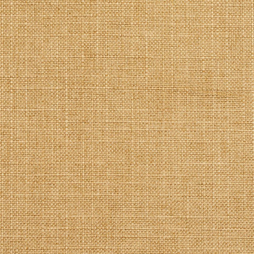 Charlotte - 3921 - Honey - Fabric by the Yard Honey