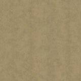 Maxwell - FENTON (WP) - 3 - Wallcovering by the 11 Yard Roll