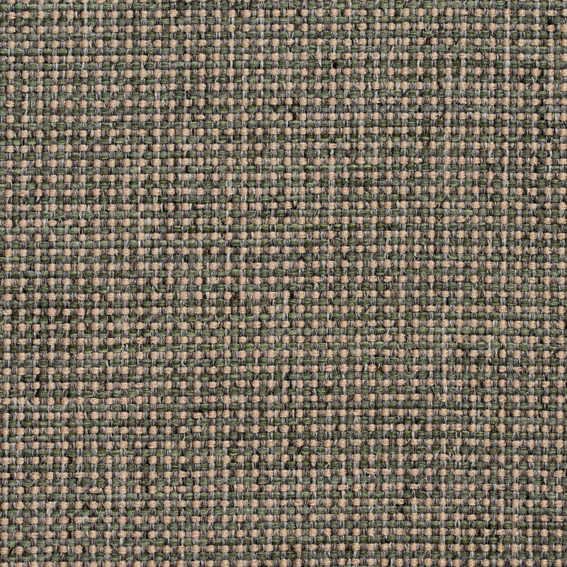 Charlotte - 4005 - Aloe - Fabric by the Yard Aloe