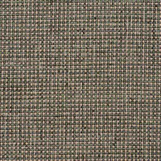 Charlotte - 4005 - Aloe - Fabric by the Yard Aloe