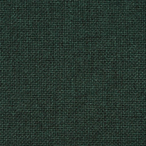 Charlotte - 4010 - Hunter - Fabric by the Yard Hunter