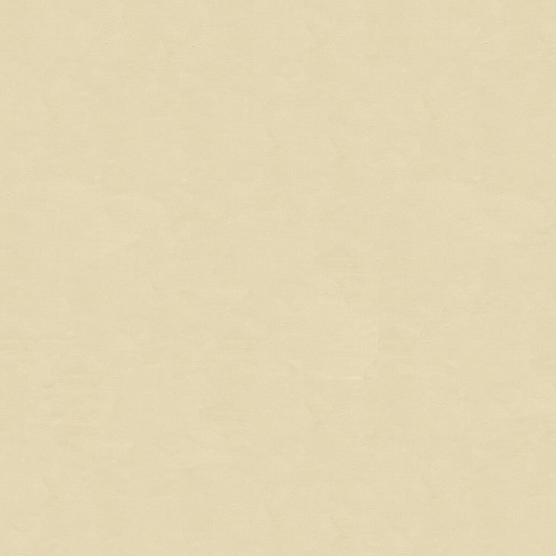 KRAVET DESIGN - KRAVET DESIGN- 4070-1111 - Fabric by the Yard 4070-1111
