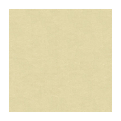 KRAVET DESIGN - KRAVET DESIGN- 4070-1116 - Fabric by the Yard 4070-1116