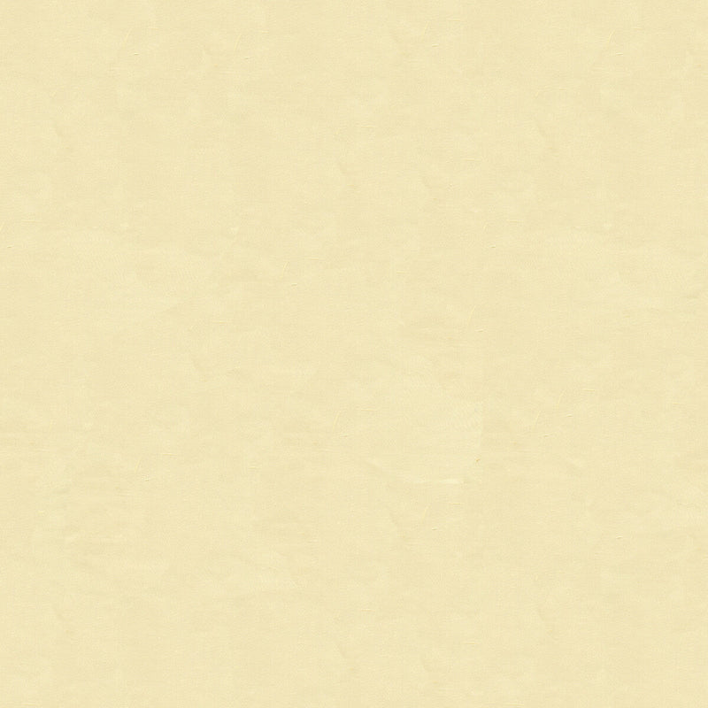 KRAVET DESIGN - KRAVET DESIGN- 4070-111 - Fabric by the Yard 4070-111