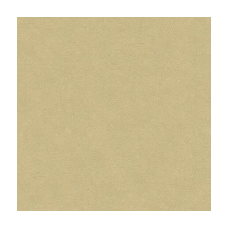 KRAVET DESIGN - KRAVET DESIGN- 4070-16 - Fabric by the Yard 4070-16