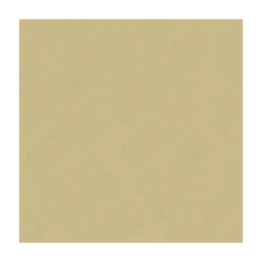 KRAVET DESIGN - KRAVET DESIGN- 4070-16 - Fabric by the Yard 4070-16