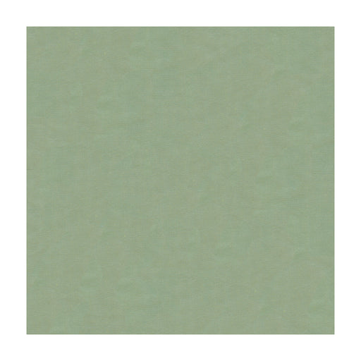 KRAVET DESIGN - KRAVET DESIGN- 4070-5252 - Fabric by the Yard 4070-5252