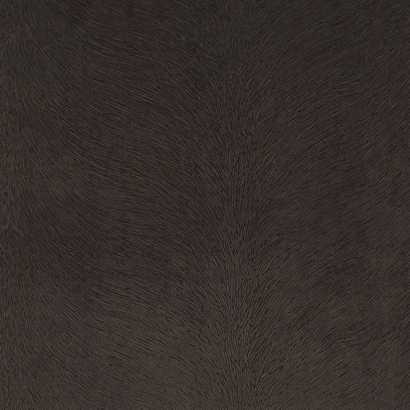 Venture - Charcoal - DV Kap - Fabric by the Yard