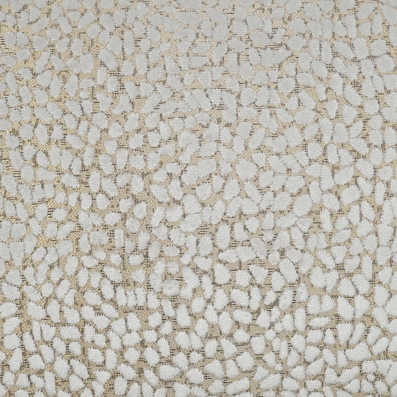 Jelly Beanz - DV Kap - Fabric by the Yard