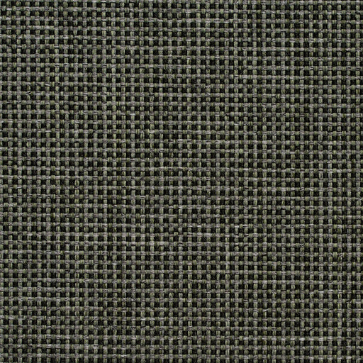 Charlotte - 4105 - Forest - Fabric by the Yard Forest