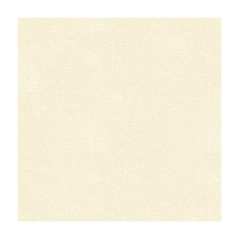 KRAVET BASICS - KRAVET BASICS- 4106-1 - Fabric by the Yard 4106-1