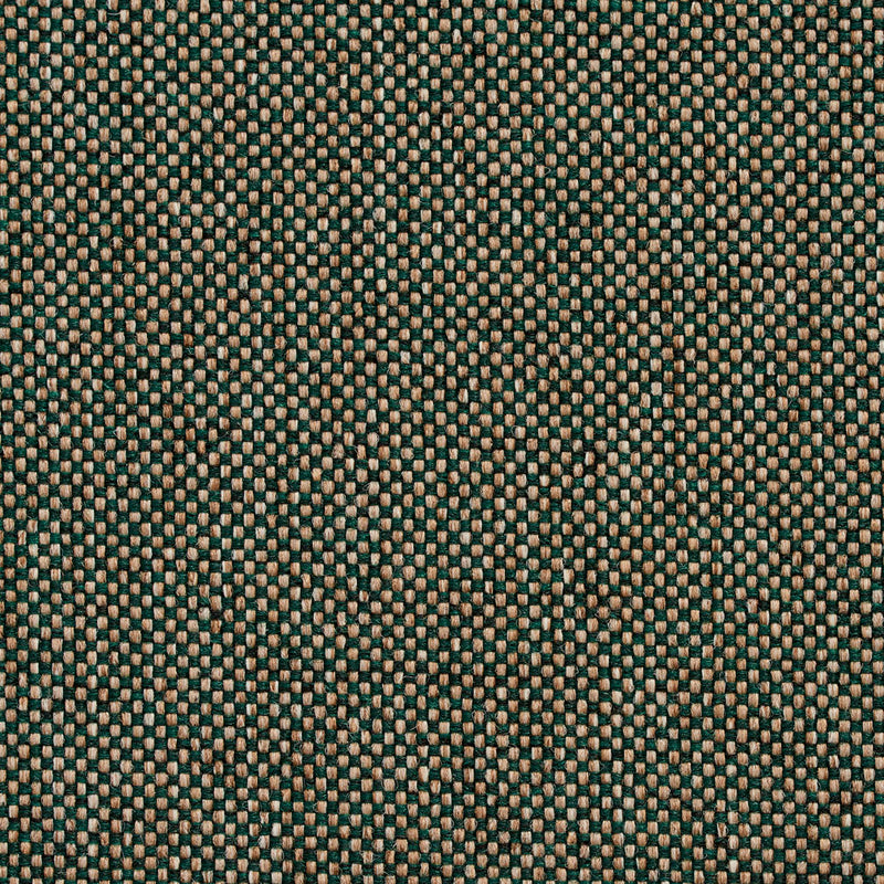 Charlotte - 4108 - Ivy - Fabric by the Yard Ivy