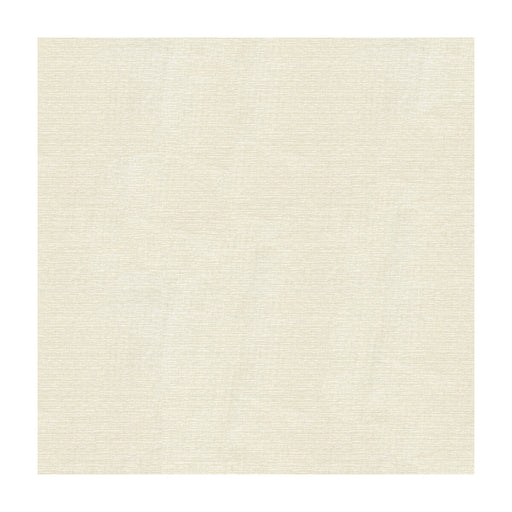 KRAVET BASICS - KRAVET BASICS- 4113-101 - Fabric by the Yard 4113-101